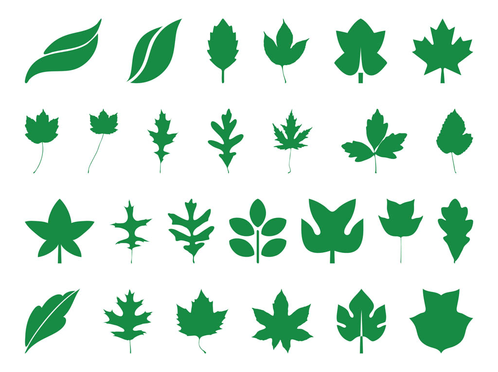 1024x765 Leaves Silhouettes Set Vector Art Graphics