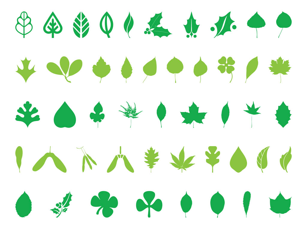 1024x765 Leaves Silhouettes Vector Art Graphics