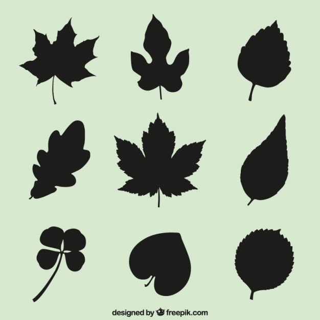 626x626 Leaves Silhouettes Vector Free Download