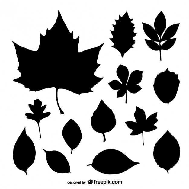 626x626 Leaves Silhouettes Collection Vector Free Download