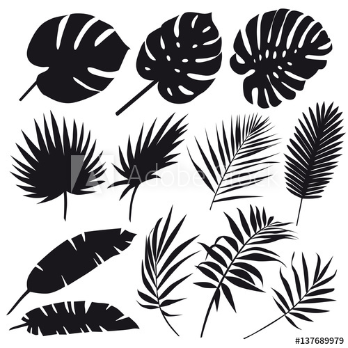 500x500 Set Of Palm Leaves Silhouettes Isolated On White Background