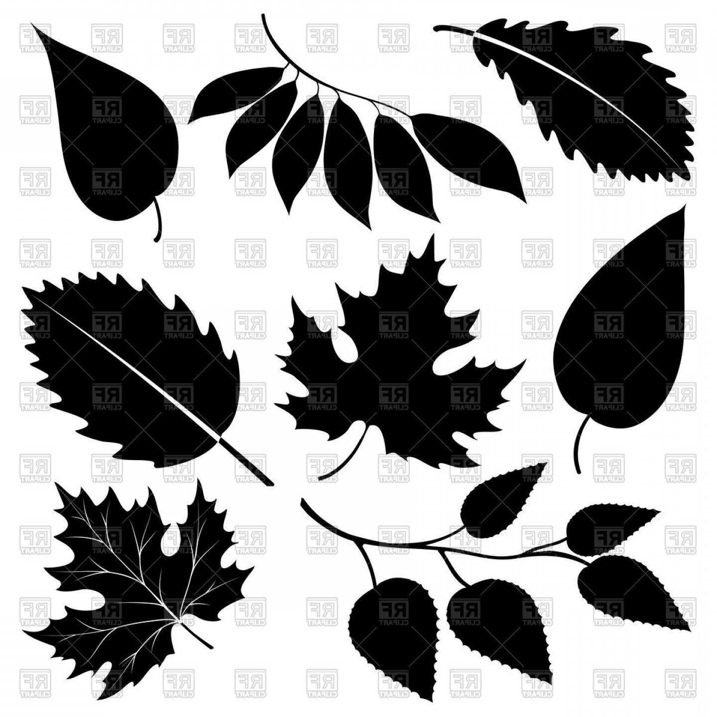 1440x1440 Black Leaves Silhouettes Vector Clipart Hoodamathrun