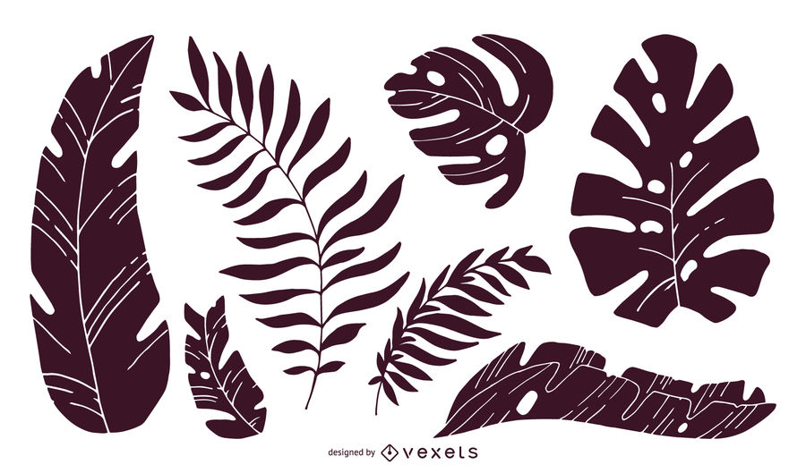 900x529 Set Of Tropical Leaves Silhouettes