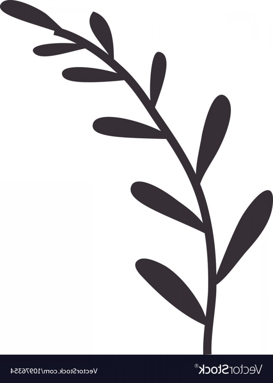 924x1296 Silhouette Stems With Few Leaves Vector Soidergi