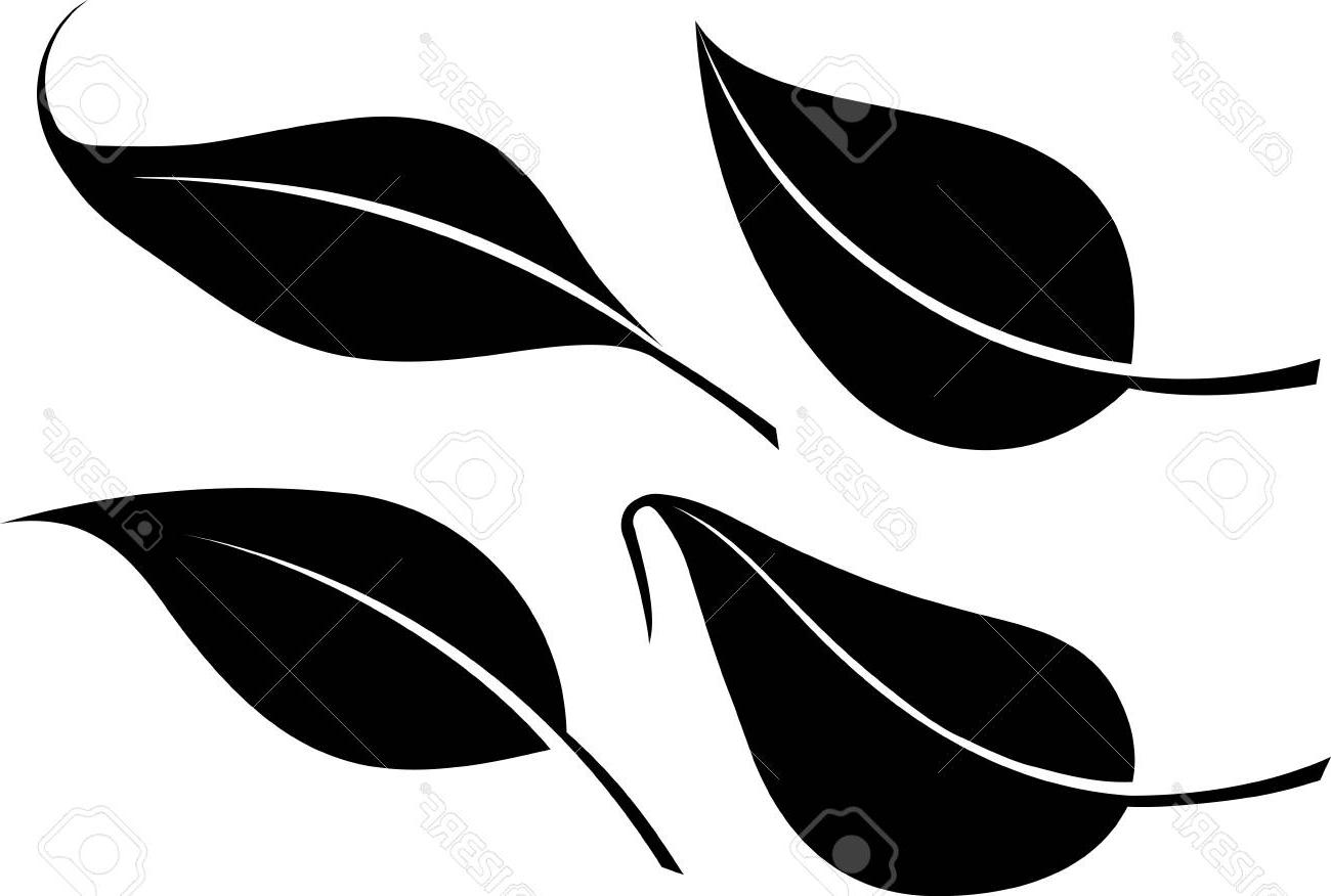 1300x876 Top Silhouette Leaves Vector Images Vector Images Design