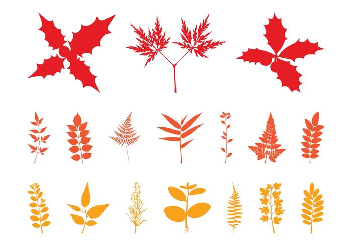 700x490 Vectors Of Leaves Free Vector Graphics Everypixel