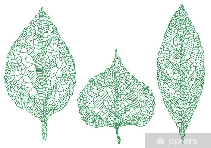 700x490 Green Leaf Silhouettes, Vector Set Wall Mural We Live