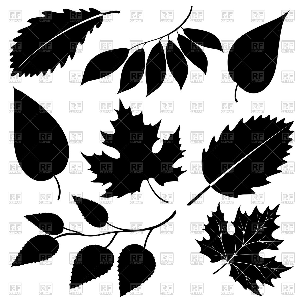 1200x1200 Black Leaves Silhouettes Vector Image Of Signs, Symbols, Maps