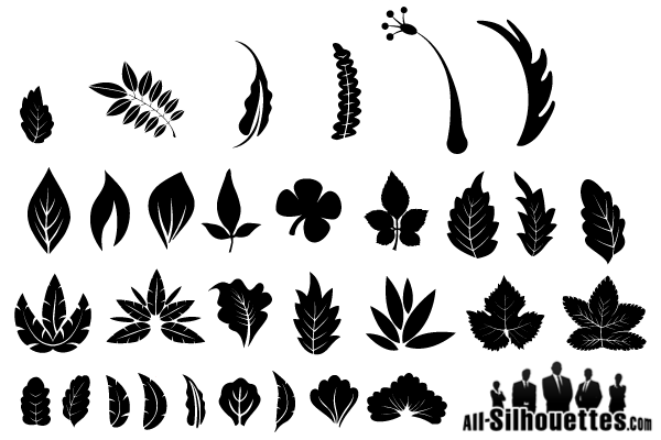 600x400 Free Graphics Vector Leaf Silhouette Free Vectors Leaves