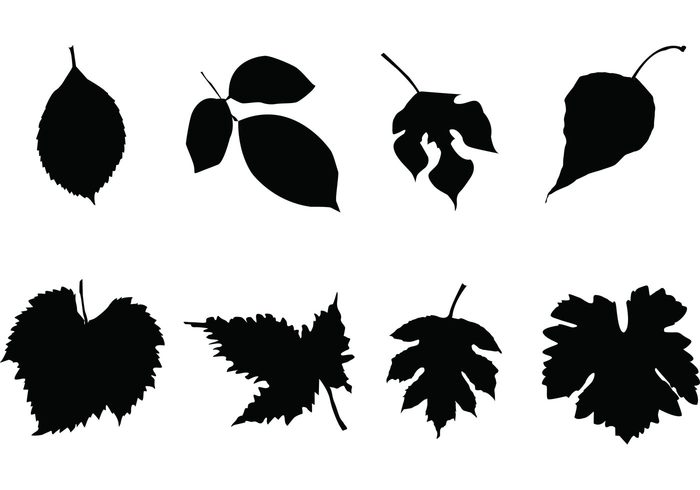 700x490 Free Leaf Silhouettes Vector Set