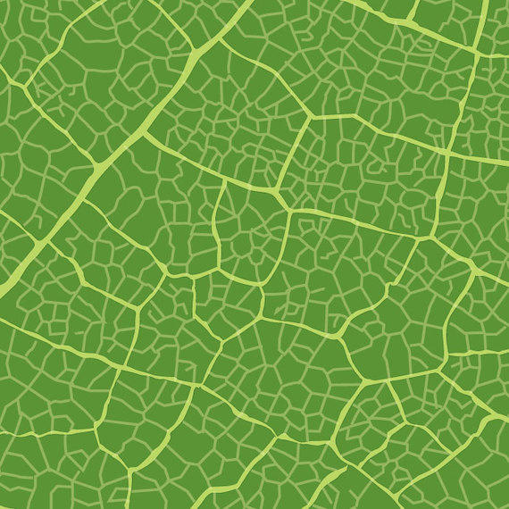 570x570 Green Leaf Texture