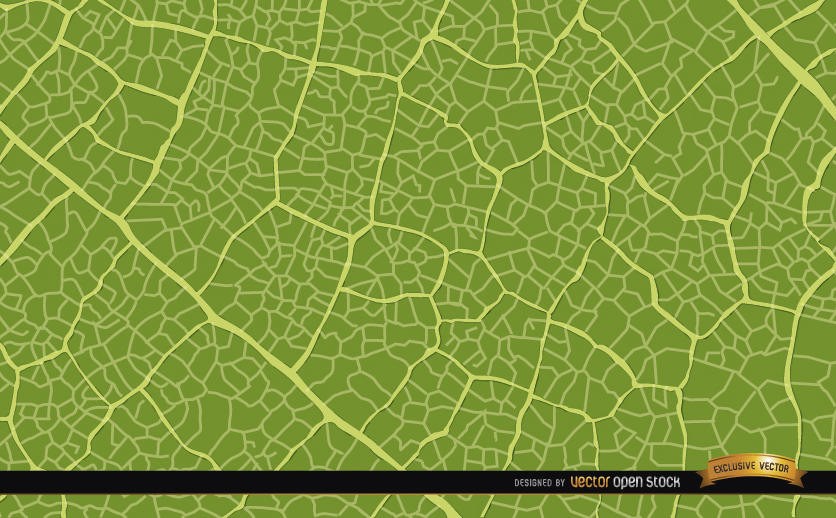 836x518 Green Leaf Texture Background