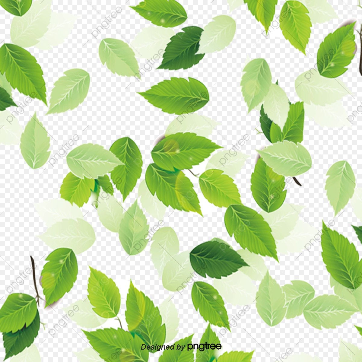 1200x1200 Leaf Texture, Defoliation, Fall Png And Vector With Transparent