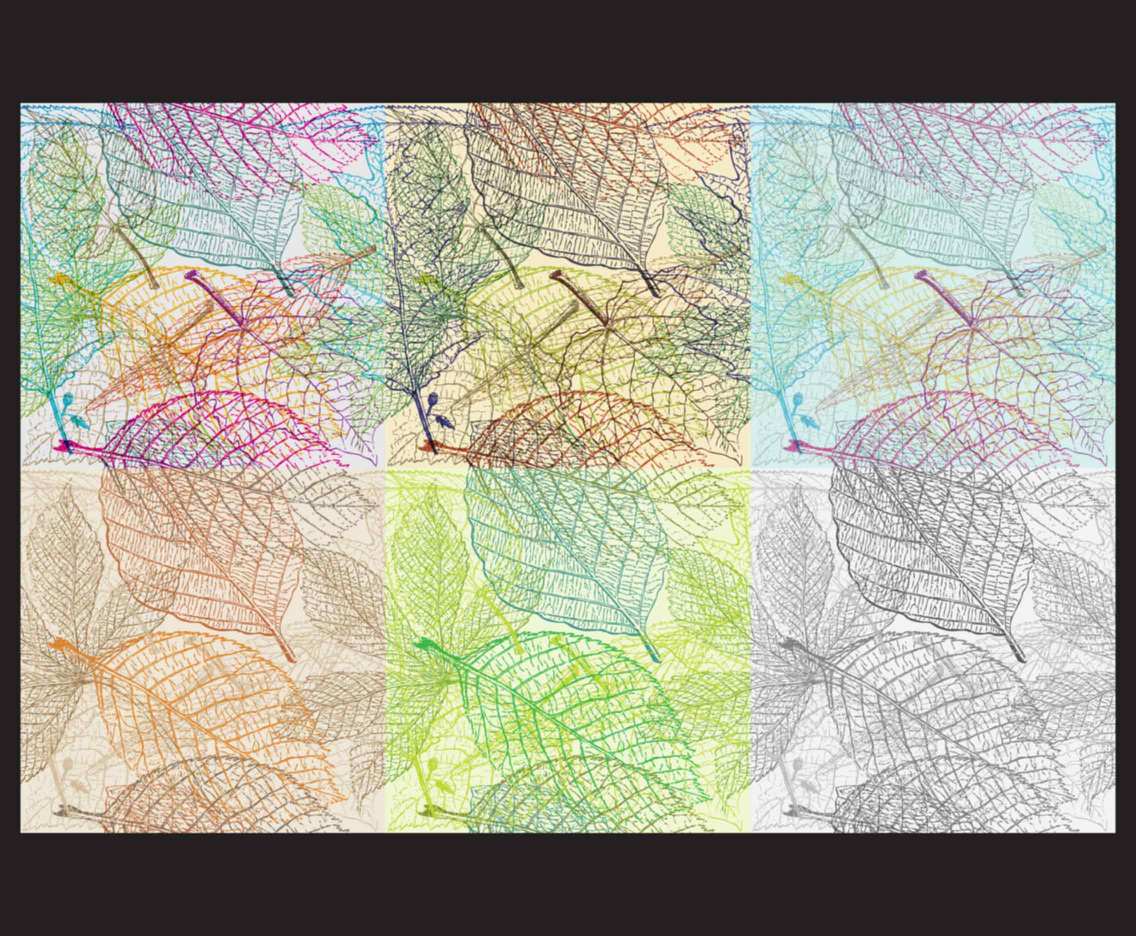 1136x936 Leaf Texture Patterns Vector Art Graphics