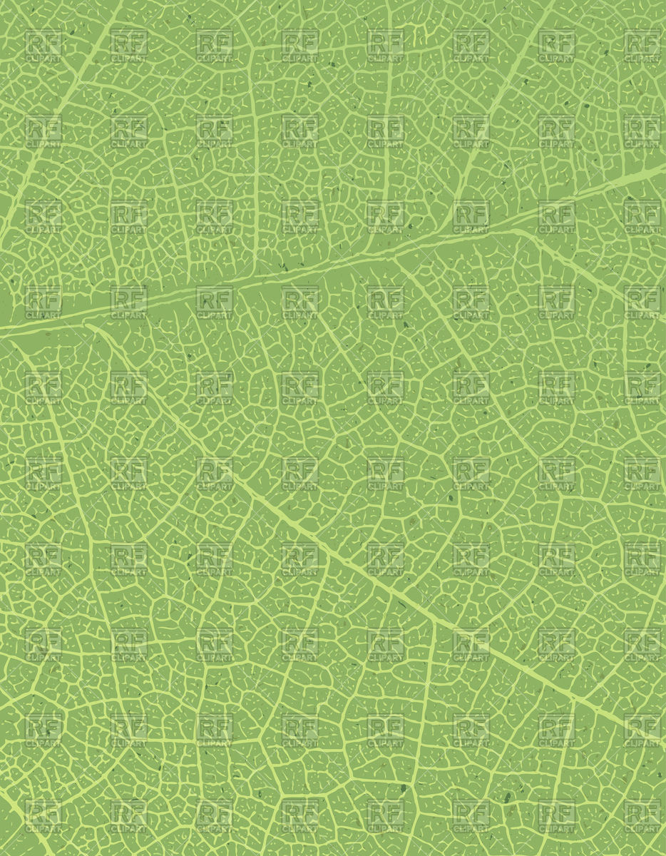 934x1200 Leaf Texture Vector Image Of Backgrounds, Textures, Abstract
