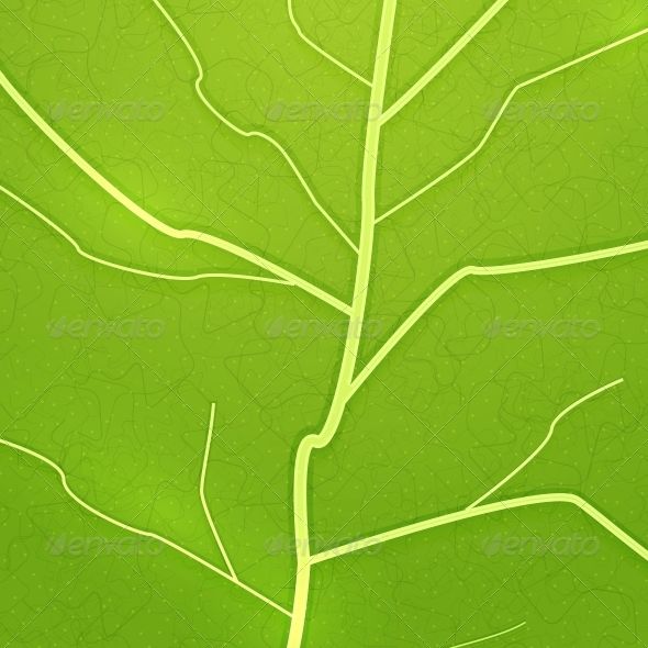 590x590 Vector Fresh Green Leaf Texture Fonts Logos Icons Leaf Texture