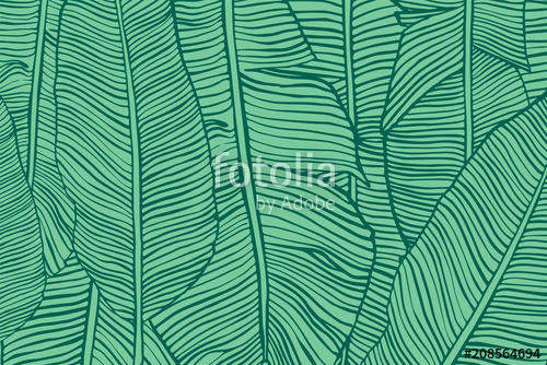 500x334 Vector Texture With Banana Leaves Hand Drawn Tropical Foliage