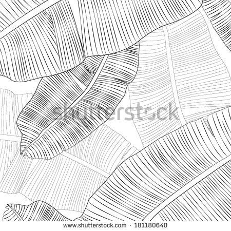 450x450 Banana Leaf Texture Vector