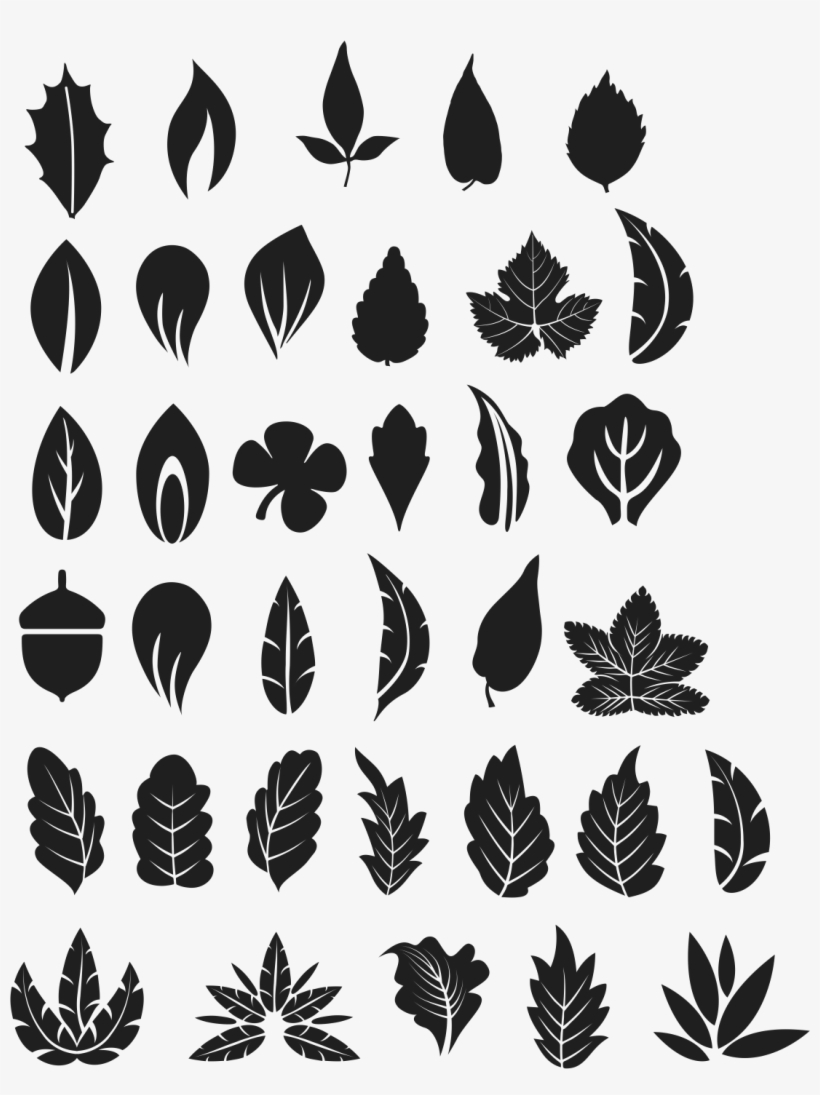820x1095 Tree Leaves Vector Free