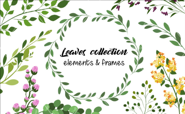 709x439 Collection Of Free Leaf Vector