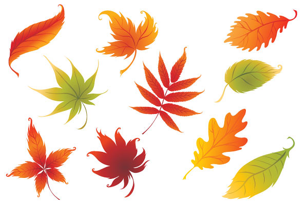 600x401 Download Leaf Vector Art