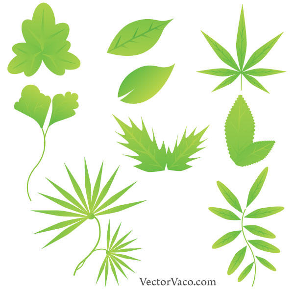 600x590 Green Leaf Vector Free Download Free Vectors Ui Download