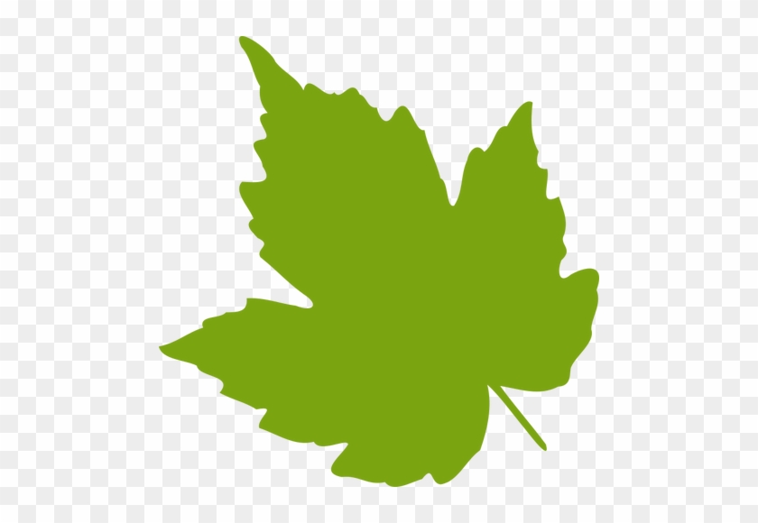 840x580 Green Maple Leaf Vector Image