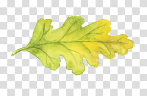 300x195 Green Vector Transparent Background Png Cliparts Free Download