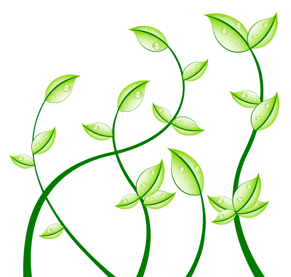 600x570 Leaf Vector Art Images