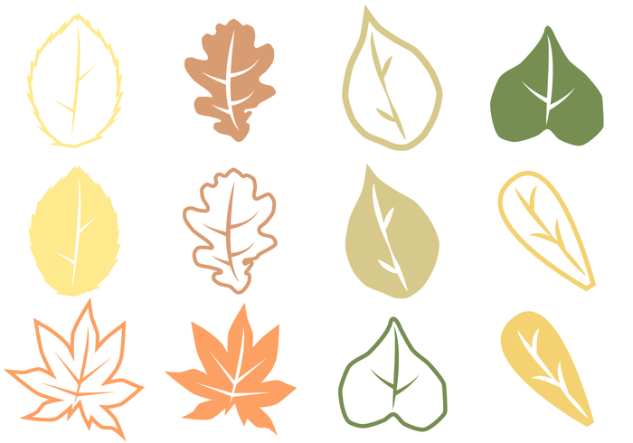 700x490 Leaf Free Vector Art