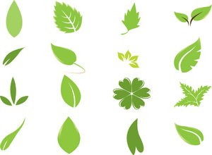 300x220 Leaf Vector Art Free Images
