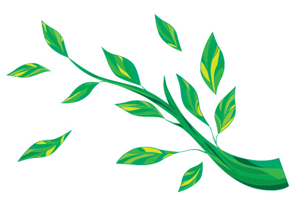 600x416 Branches And Leaves Free Graphics