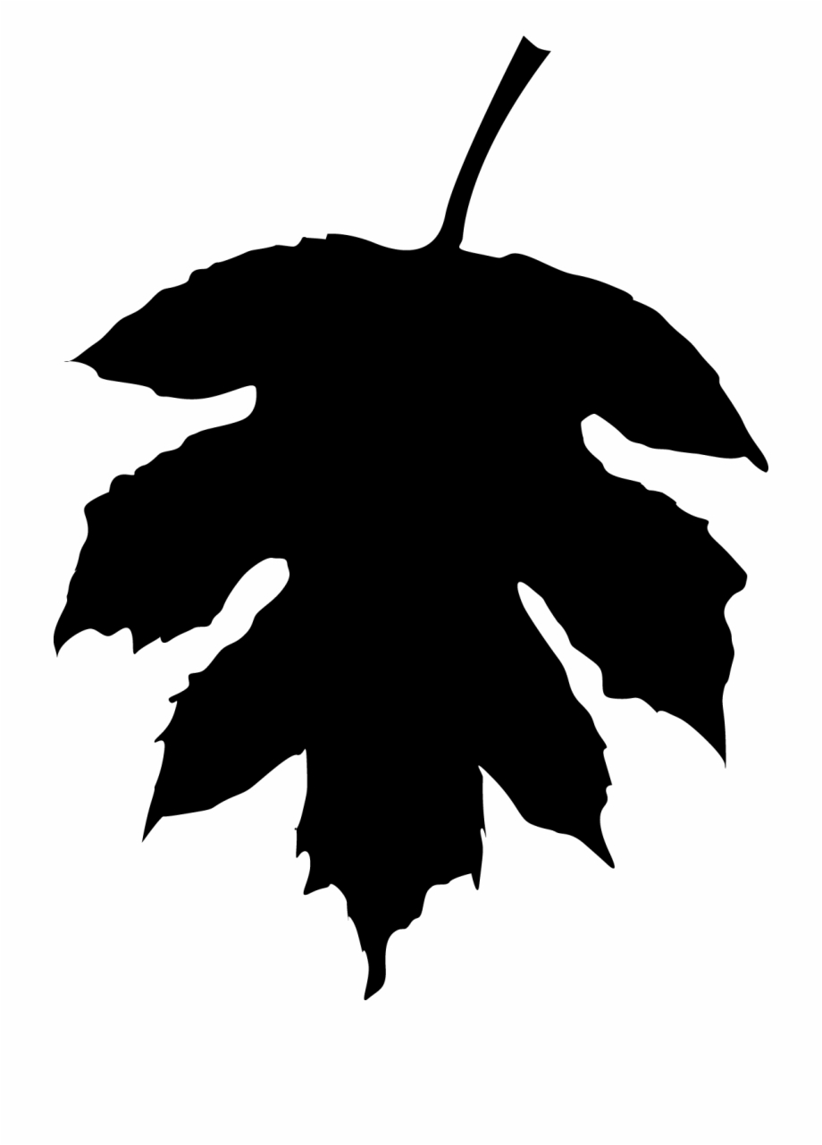 920x1281 Fall At Getdrawings