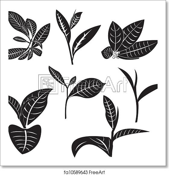 561x581 Free Art Print Of Tea Leaf Tea Leaf In Vector Graphics Freeart