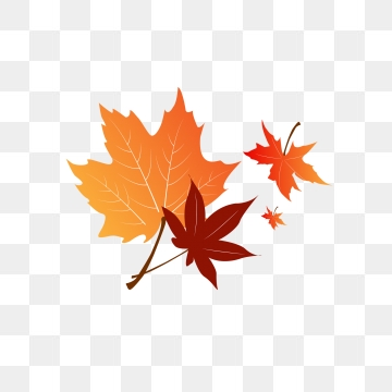 360x360 Leaf Vector, Graphic Resources For Free Download