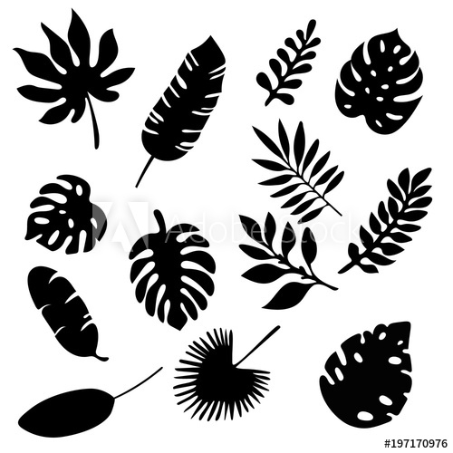 500x500 Palm Leaves Silhouettes Set Isolated On White Background Tropical