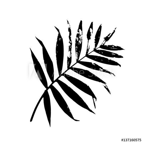 500x500 Palm Leaf Vector Illustration Black And White Palm Leaf