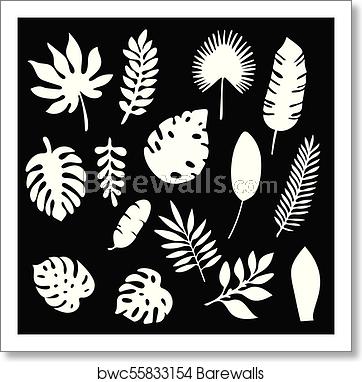 362x382 Palm Leaves Silhouettes Set Isolated On Black Background Tropical