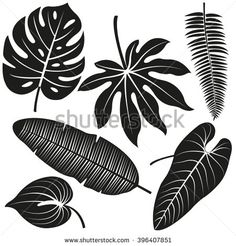 236x246 Best Leaves Vector Images In Leaves Vector, Leaves