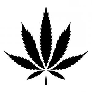 300x300 Solid Black Cannabis Marijuana Leaf Vector Cqrecords
