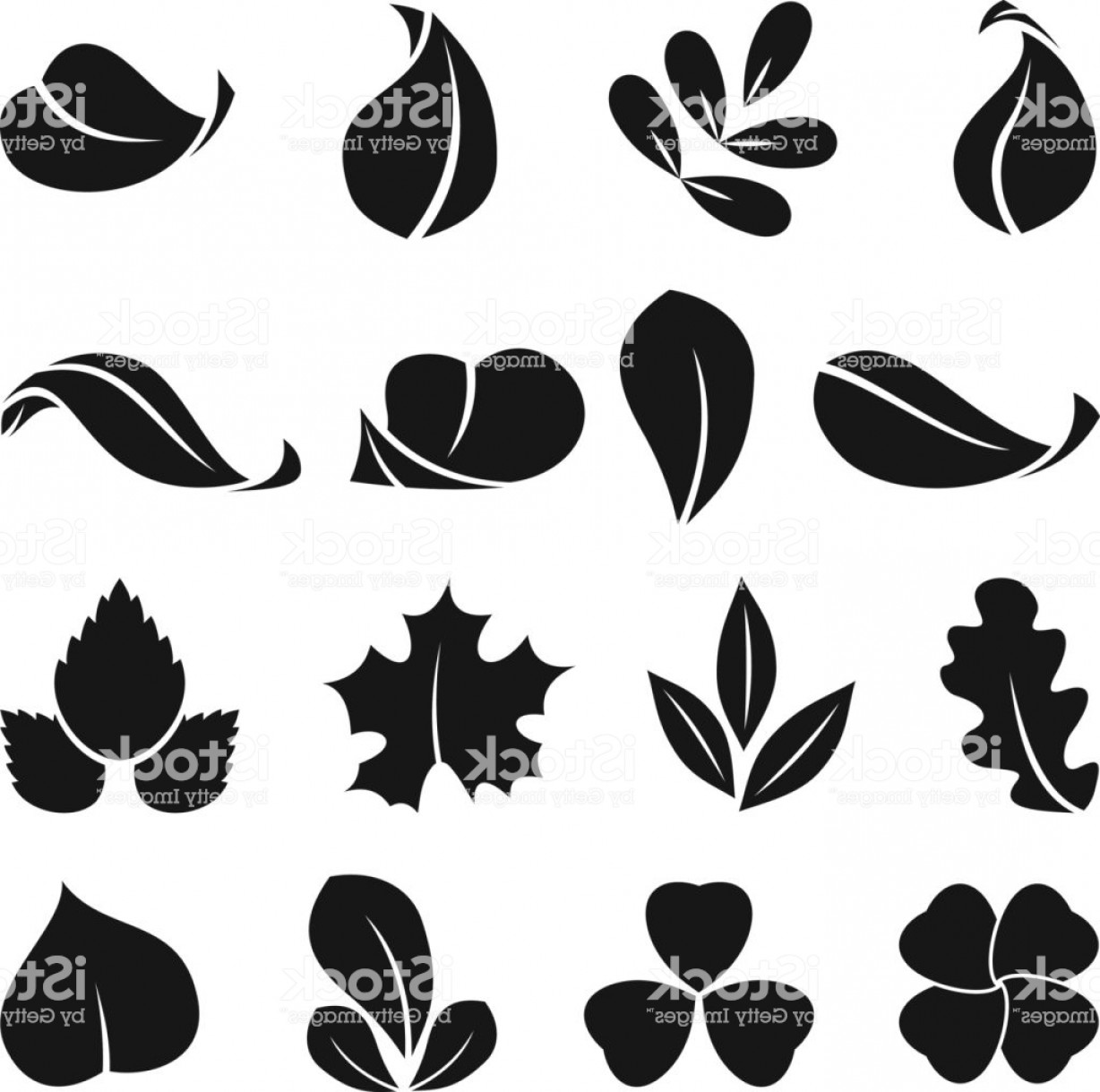 1228x1219 Black Monochrome Symbols Of Spring Leaf Vector Shapes Summer Icon