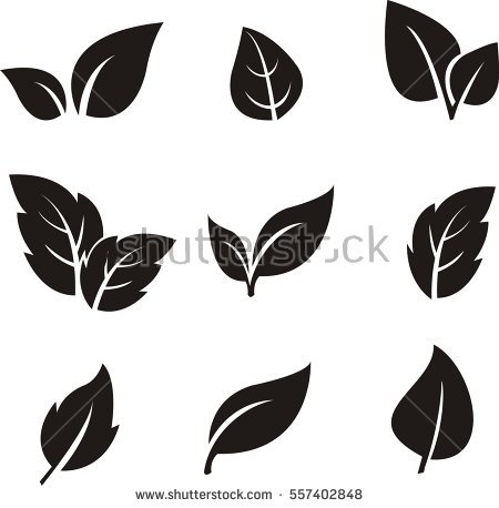 Leaf Icon Vector 450x458 Leaf Icon Vector