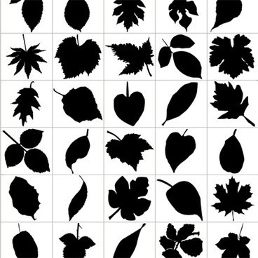 Leaf Free Vector Download 368x368 Leaf Free Vector Download