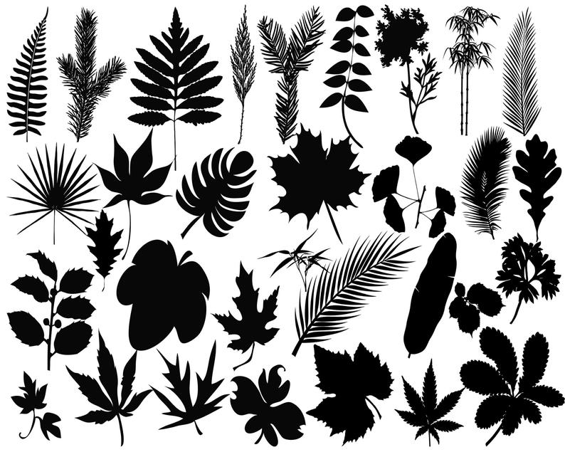 Leaves Silhouette Leaves Clipart Leaf Vector Leaves Etsy 794x635 Leaves Silhouette Leaves Clipart Leaf Vector Leaves Etsy