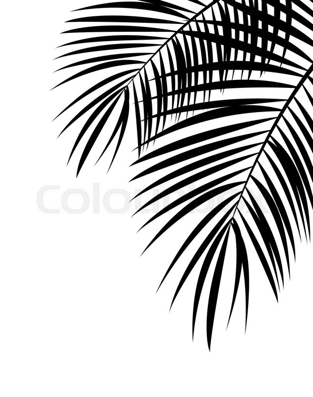 Palm Leaf Vector Background Isolated Stock Vector Colourbox 631x800 Palm Leaf Vector Background Isolated Stock Vector Colourbox