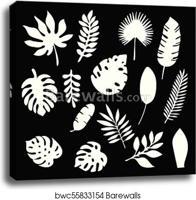 Palm Leaves Silhouettes Set Isolated On Black Background Tropical 382x390 Palm Leaves Silhouettes Set Isolated On Black Background Tropical