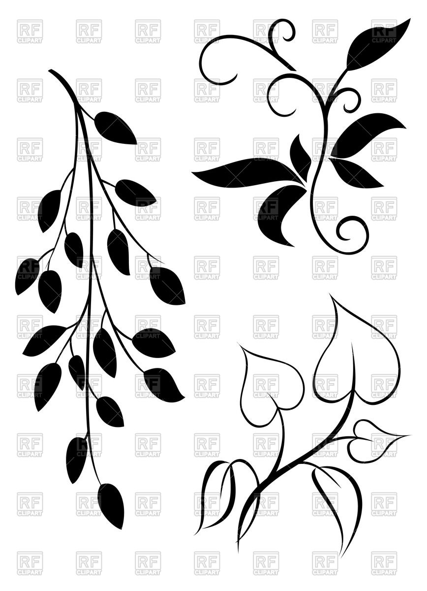 Silhouettes Of Elegant Twigs And Leaves Vector Image Of Plants 868x1200 Silhouettes Of Elegant Twigs And Leaves Vector Image Of Plants