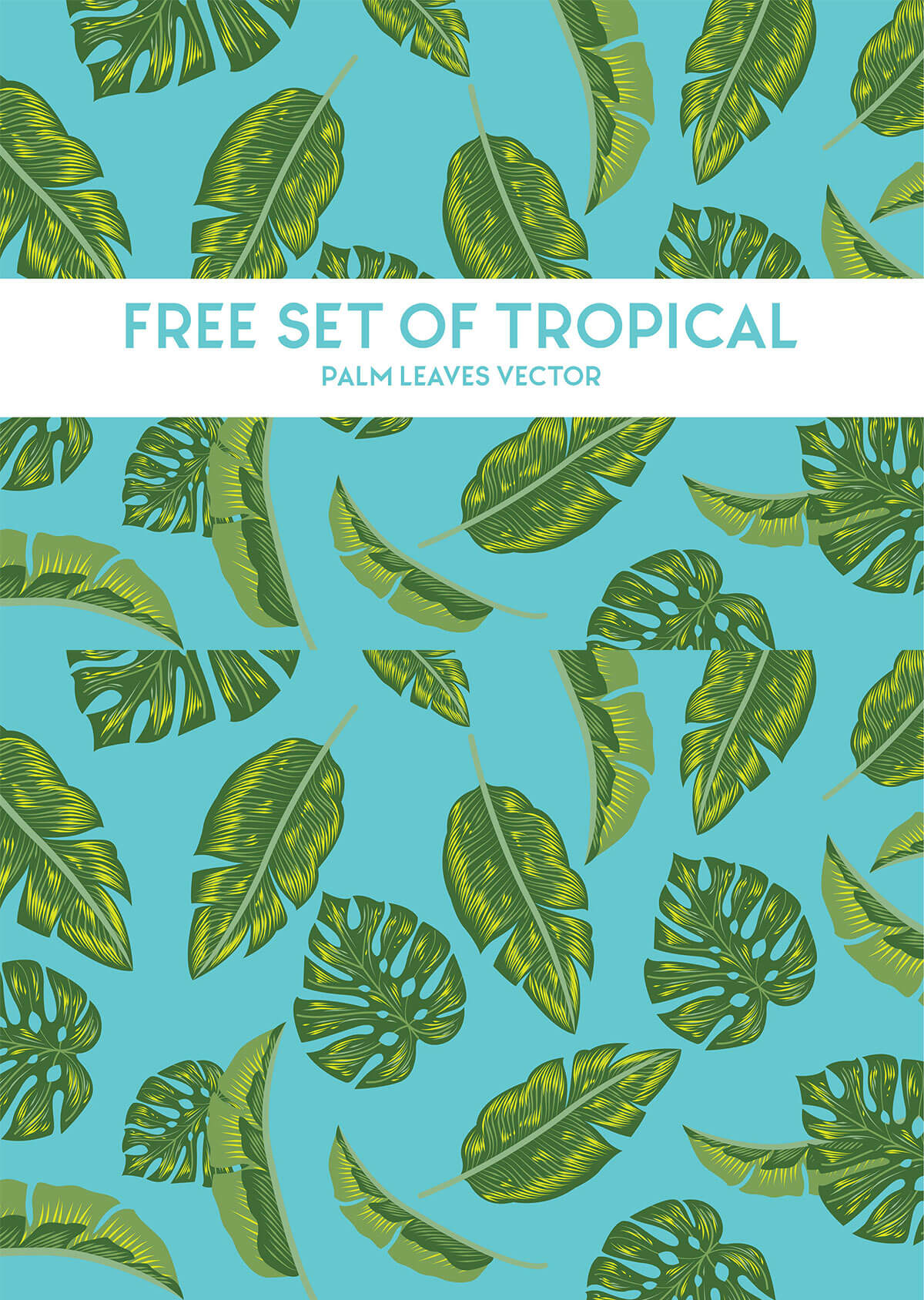 1200x1688 Free Tropical Palm Leaves Vector Set