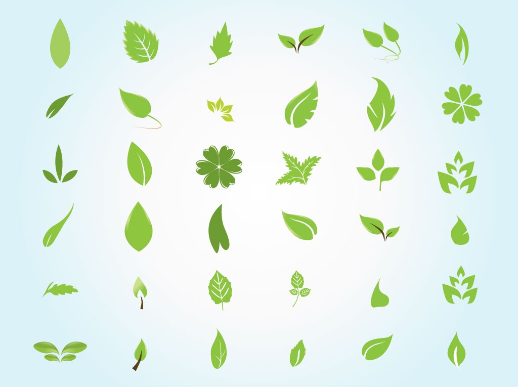 1024x765 Garden Leaves Vector Art Graphics