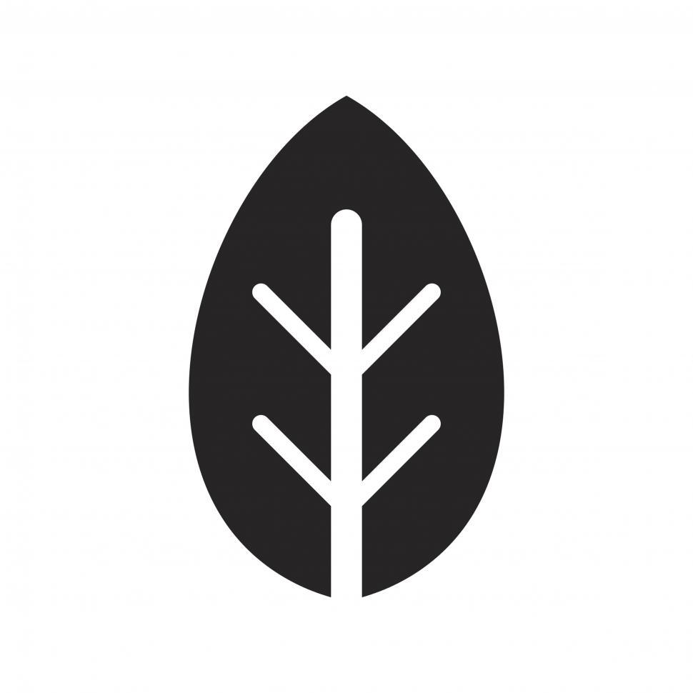 970x970 Get Free Stock Photos Of Leaf Vector Icon Online Download Latest